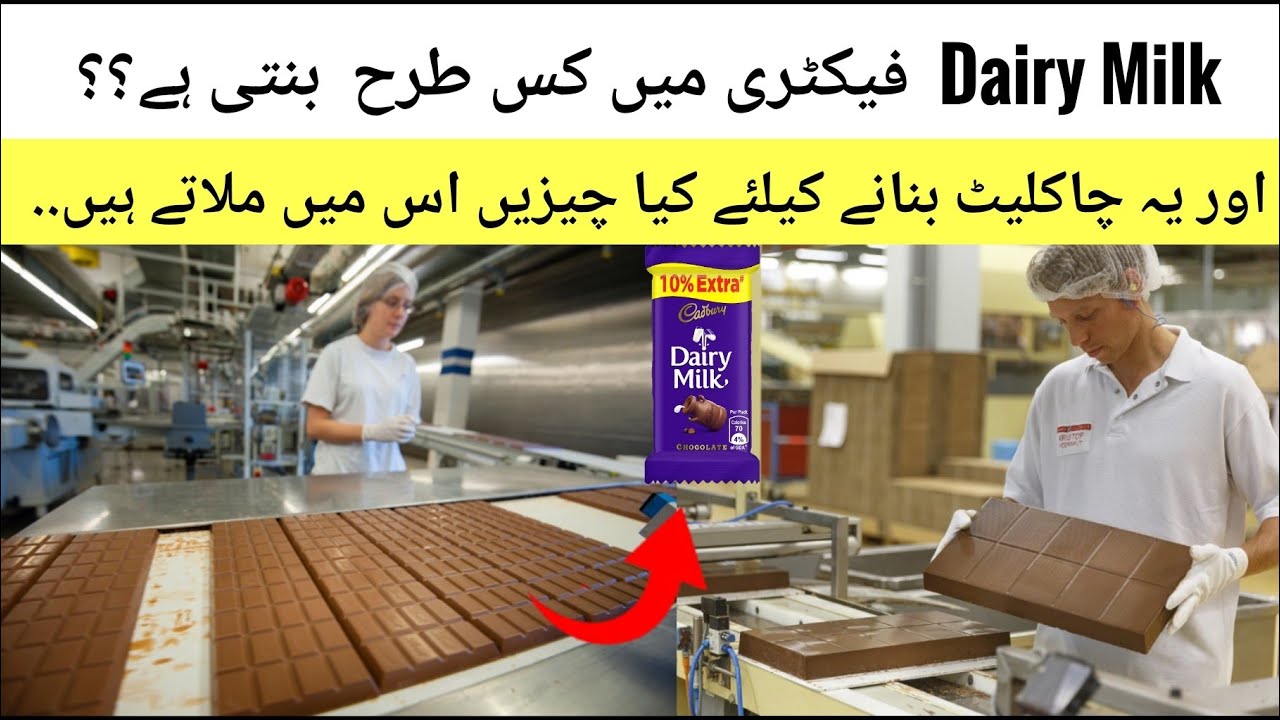 How Dairy Milk Chocolate is made in Factory      