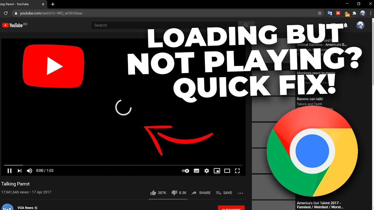 YouTube Video Doesnt Play in Chrome Quick Fix  YouTube