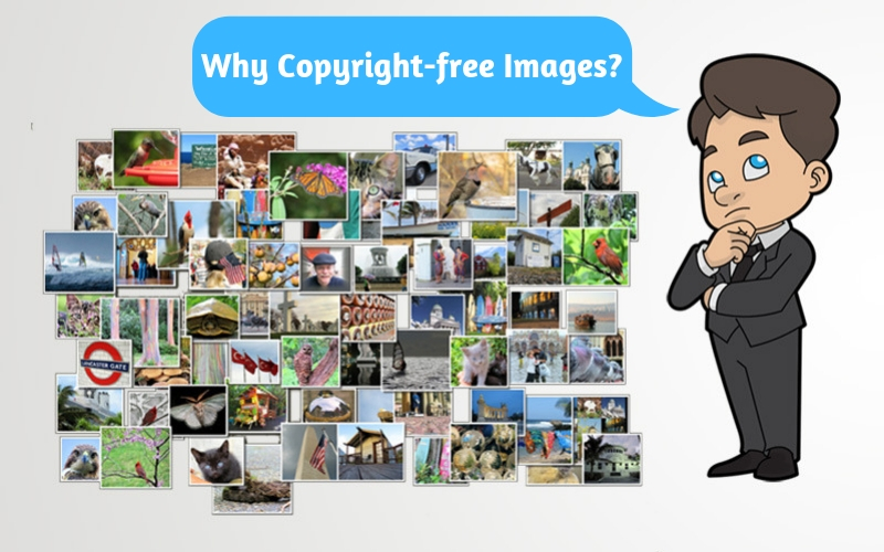 Free Images Without Copyright  Top 11 Websites You Can Download High 