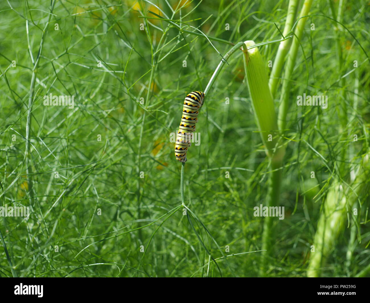 Top Strategies to Increase Discoverability on Alamy Stock Photos