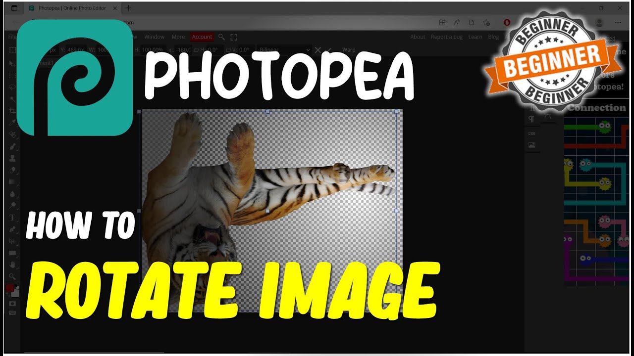 Photopea Rotate Image  Hot Sex Picture