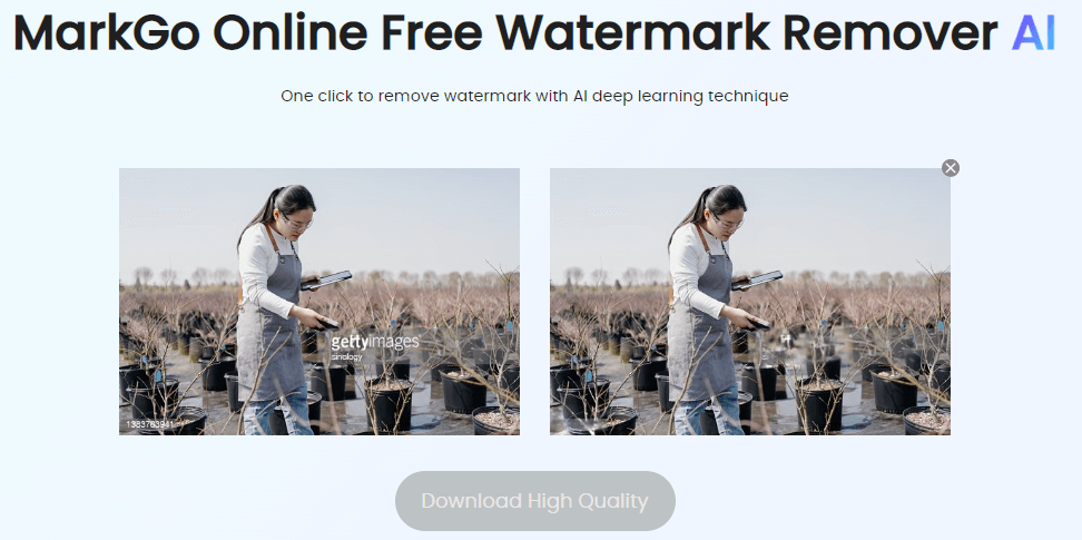 How to Remove Getty Image Watermark for Free 5 Easy Ways