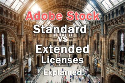 Understanding Stock Photo Licensing on Adobe