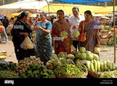 Do Buyers Actually Purchase Stock Photos from Alamy