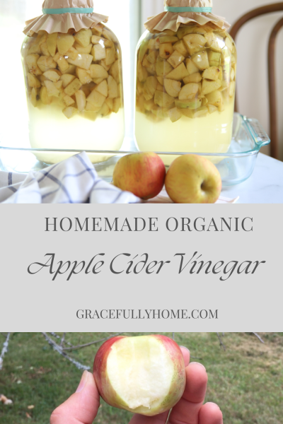 How to Make Apple Cider Vinegar at Home