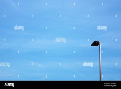 Top Strategies to Increase Discoverability on Alamy Stock Photos