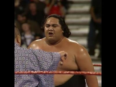 Who Won the 1993 Royal Rumble Match