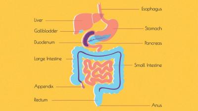 Why Is My Anus Rumbling? Understanding Common Digestive Issues