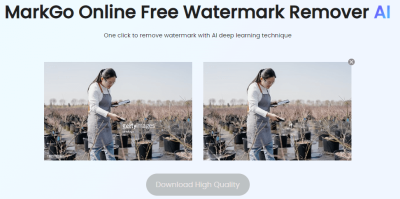 How to Remove Getty Images Watermark from Video for Clean Professional Content