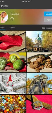 Why Imago Images is a Unique Alternative to Free Stock Photo Platforms