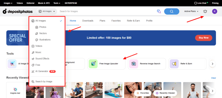 Depositphotos Review 2025  Is It The Best Stock Photo Site in Budget 