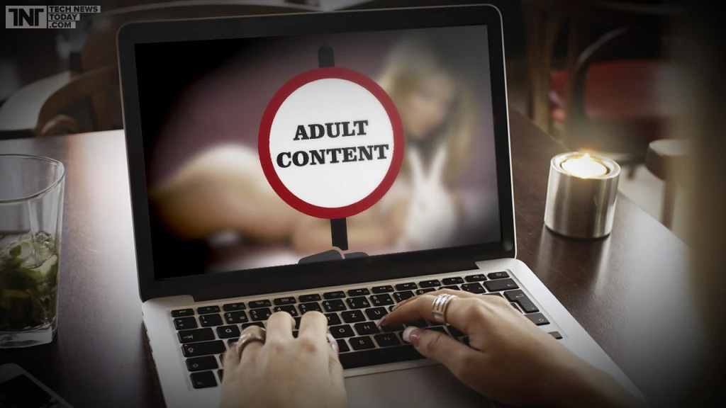 The Importance of VPNs When Accessing Adult Websites  NetValuator