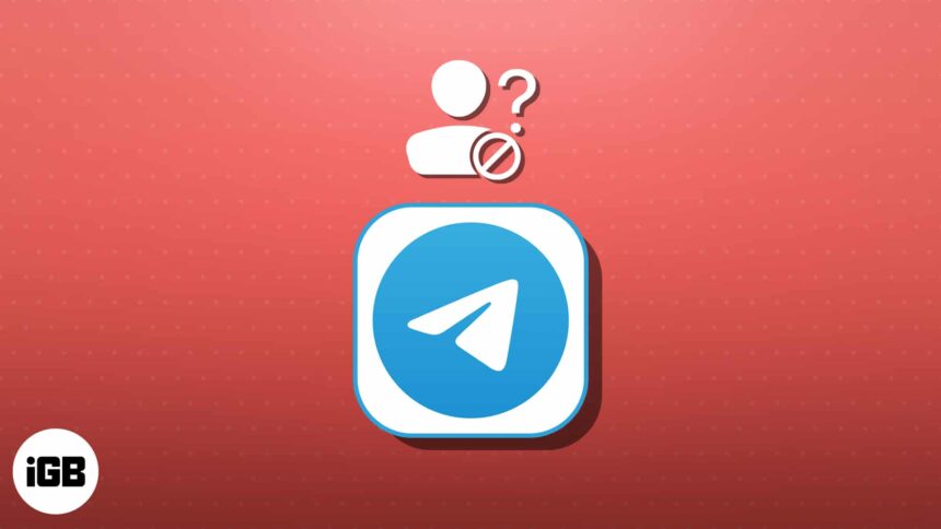 How to know if someone blocked you on Telegram 2024 iGeeksBlog
