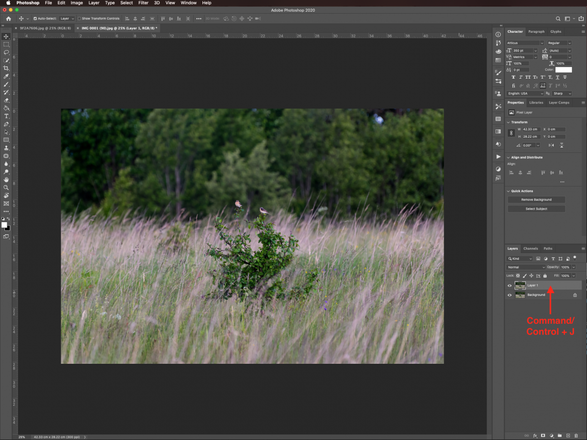 Remove Objects from Photo in Photoshop Design Bundles