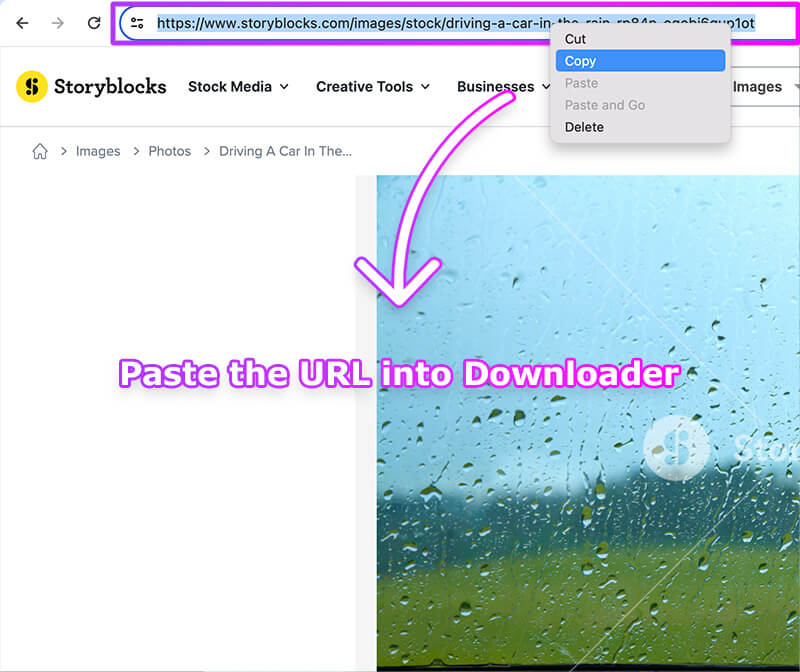 Storyblocks Downloader Download HighQuality Images from Storyblocks