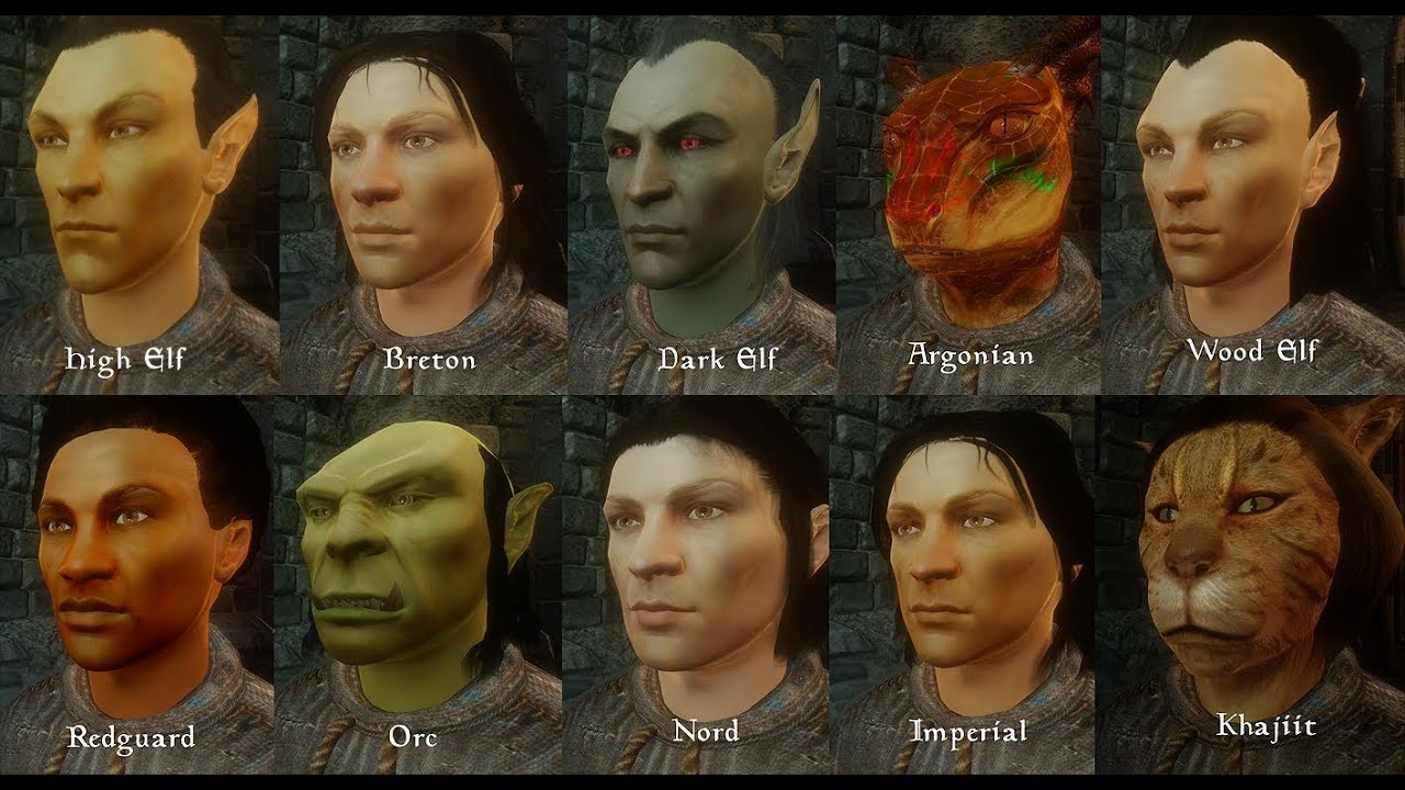 Oblivion Mod Reviews Oblivion Character Overhaul YouTube
