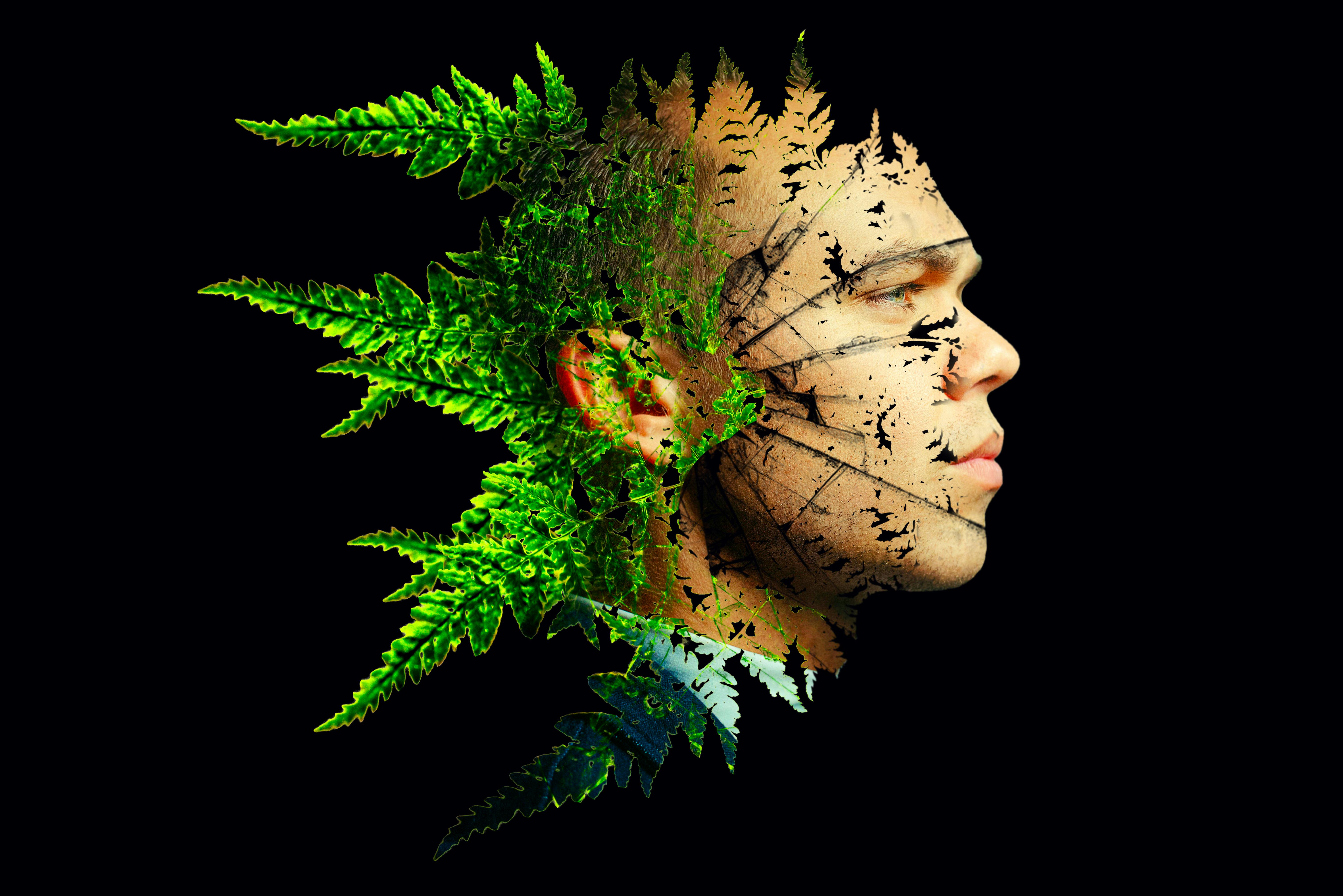 Free stock photo of Adobe Photoshop blending double exposure