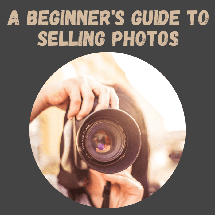 How to Sell Photography for Beginners FeltMagnet