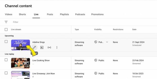 Easy Steps to Embed YouTube Live Stream on Your Website