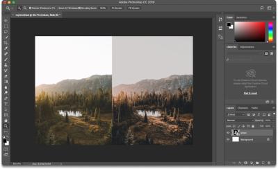 Resizing VectorStock Graphics Without Losing Quality: Best Practices