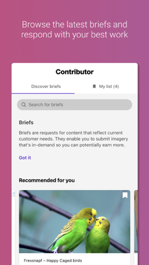How to Get My Photos on Getty Images: A Simple Guide for New Contributors