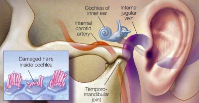 Can Everyone Make Their Ears Rumble? Exploring the Causes and Effects