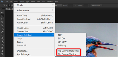 how to return an image adobe stock