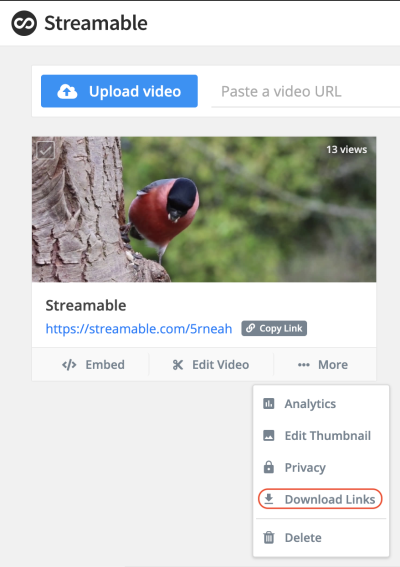 Understanding the Concept of Streamable Dailymotion Videos