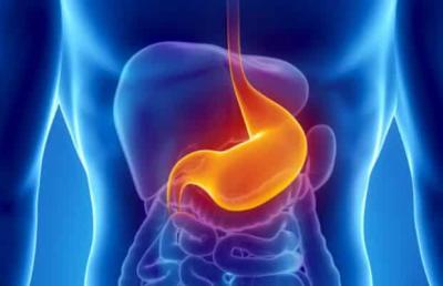Why Does My Belly Rumble? Reasons Behind This Common Phenomenon