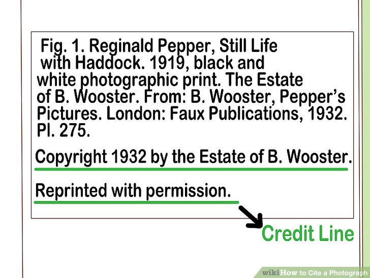 3 Ways to Cite a Photograph wikiHow