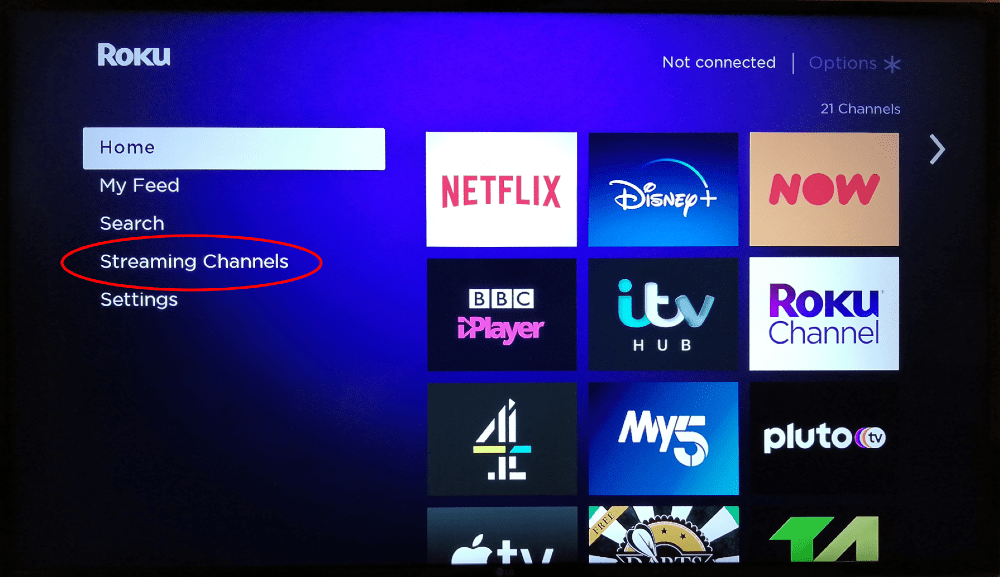 How To Add Channels To Roku in 2025 Endless Entertainment