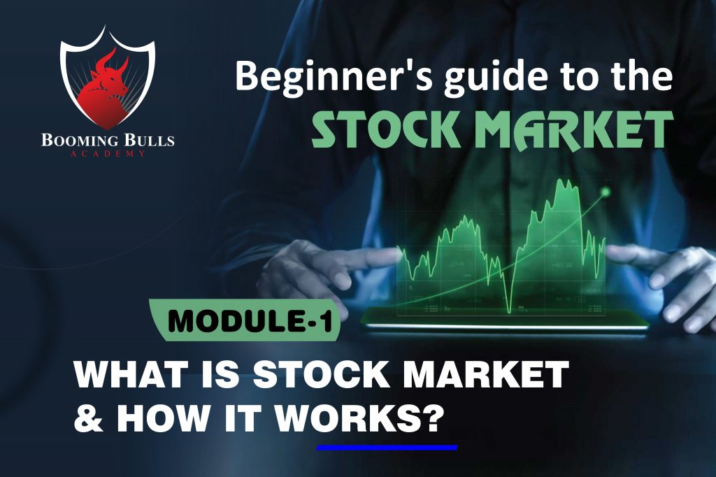 Best Beginners Guide to the Stock Market Module 1 What is a Stock