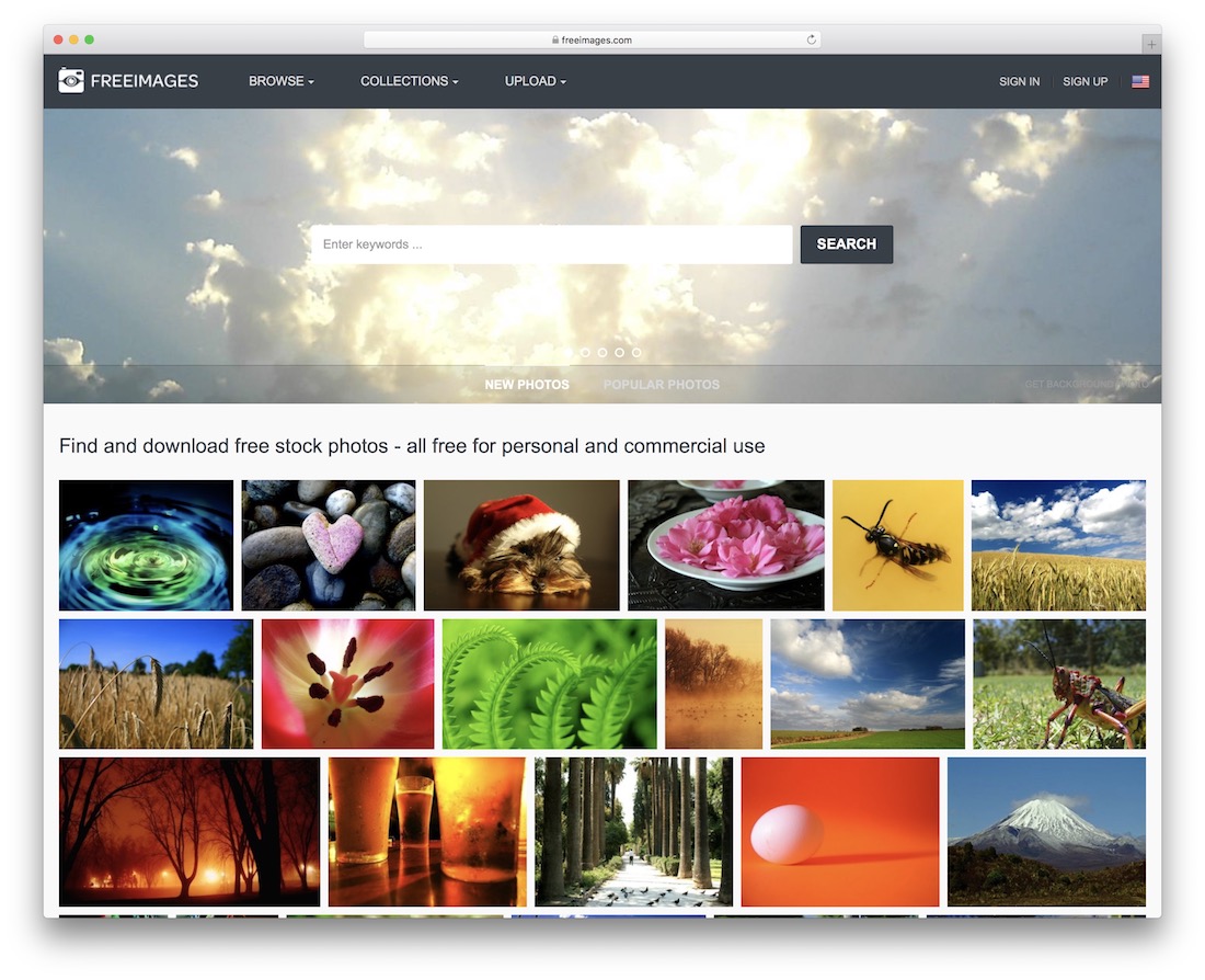 24 Free Stock Photo Websites For Every Situation 2025 Colorlib