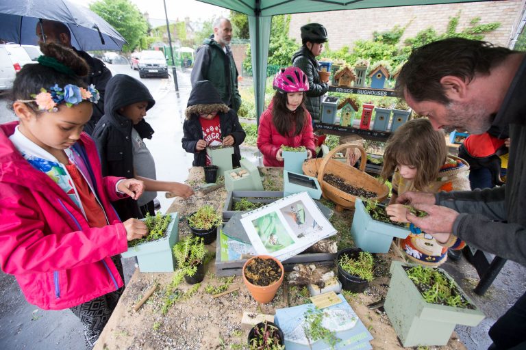 Benefits of joining a community project Cultivation Street