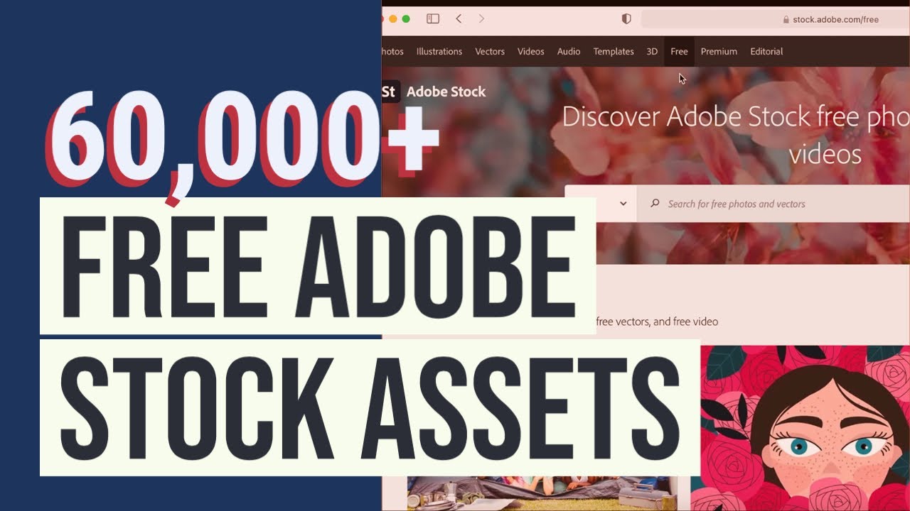 How to download FREE Adobe STOCK ASSETS and use them InDesign or