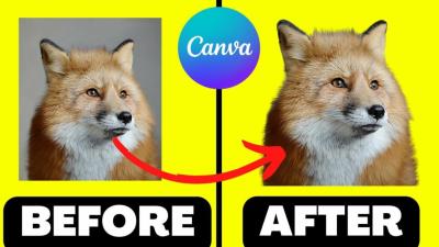 how to slice images in canva