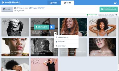 How to Download Watermarked Photos on Getty: How to Access Preview Images Legally
