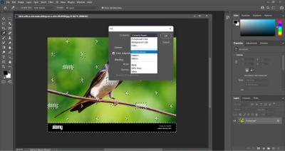 How to Remove the Alamy Watermark: A Step-by-Step Guide