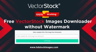 A Beginner’s Guide to Working with Vector Downloads from VectorStock