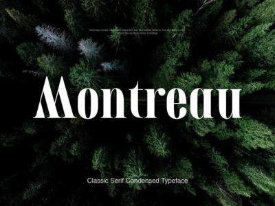 How to Download Fonts on Behance: A Guide for Designers and Creatives
