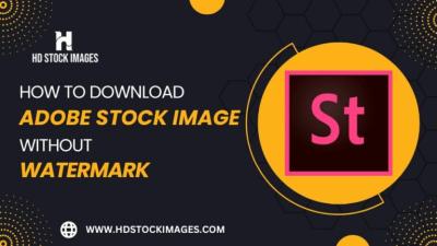 how to download adobe stock purchased images