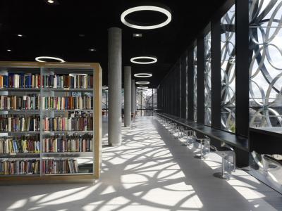 Why 123RF’s Extensive Library Benefits Creatives