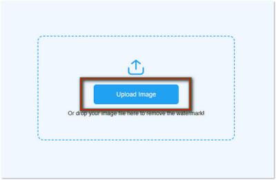 Removing Alamy: How to Deactivate or Delete Your Account