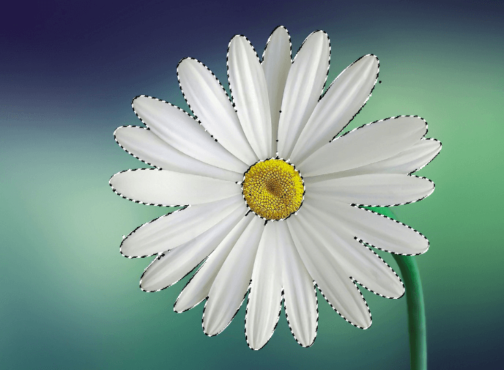 How to Select an Image in Photoshop 8 Selection Tools