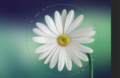 how to select a portion of an image in photoshop