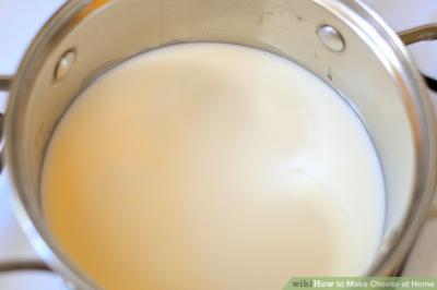 How to Make Cheese at Home from Milk: Step-by-Step Guide on Dailymotion