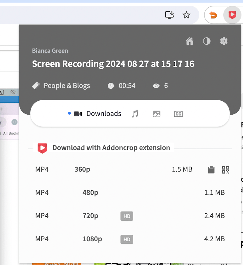How to Download Private YouTube Videos 2024