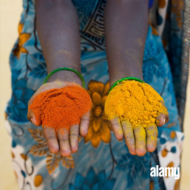 Alamy Review Must Read This Before Buying