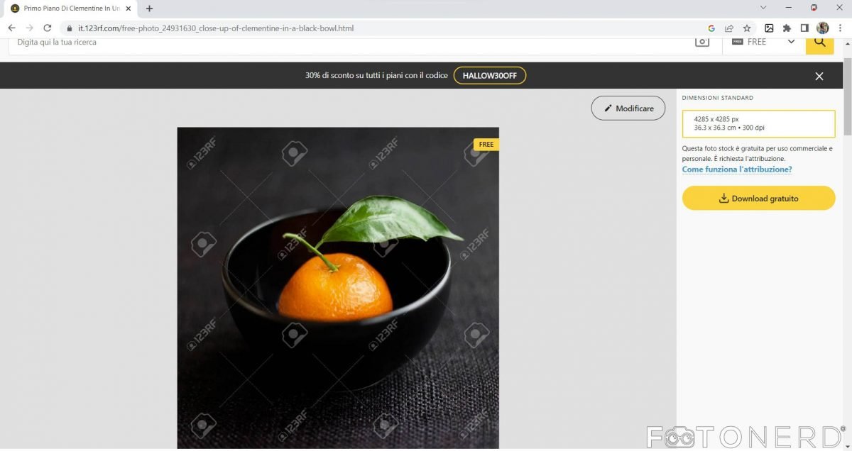 123RF gratis come scaricare immagini gratuitamente FotoNerd