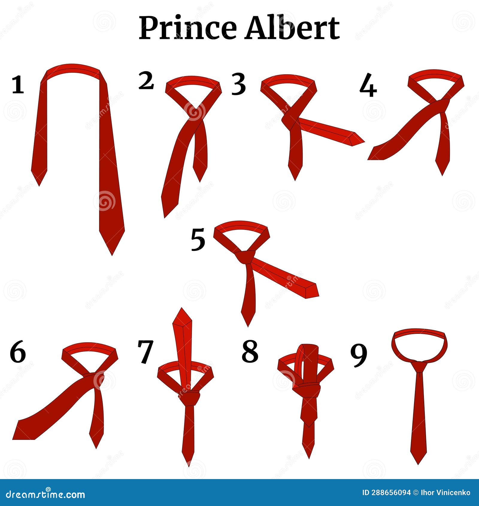 Scheme Infographics Stepbystep Instructions for Tying a Tie Stock